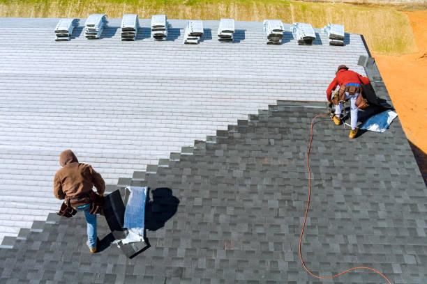 Best Storm Damage Roof Repair  in Clayton, AL