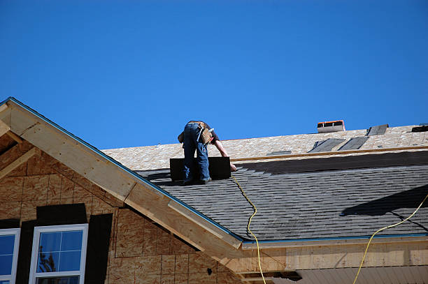 Best Storm Damage Roof Repair  in Clayton, AL